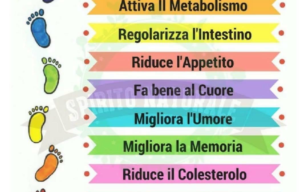 I benefici di una passeggiata